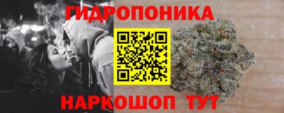 стаф Ливны