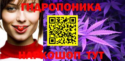 стаф Ливны