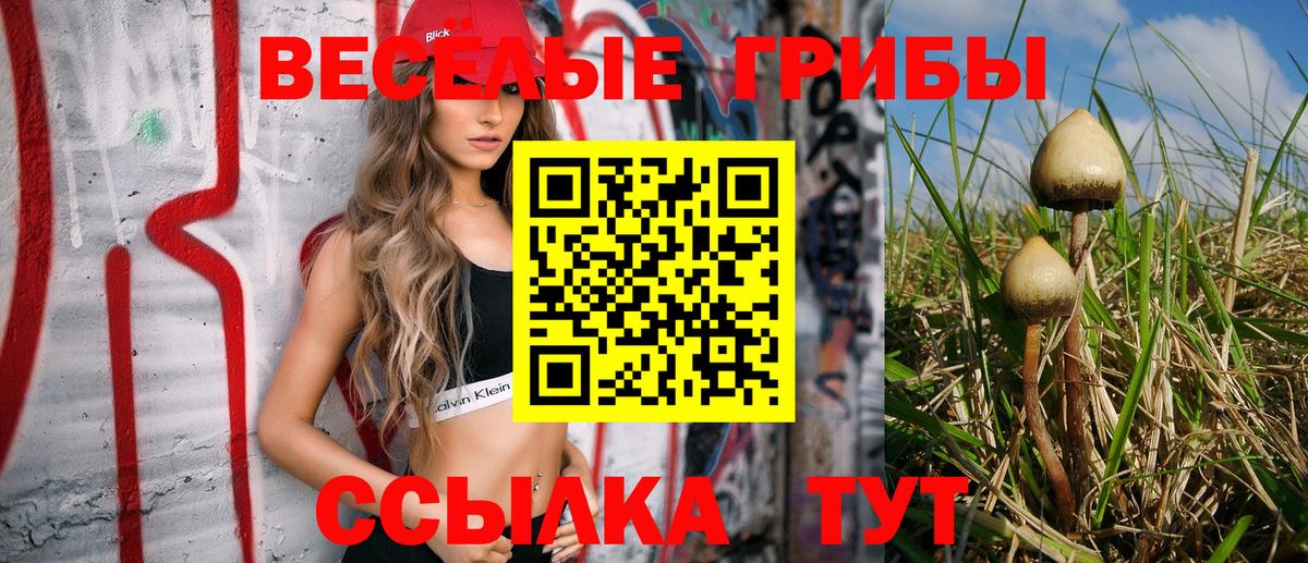 Псилоцибиновые грибы мицелий  Псилоцибиновые грибы Cubensis  Заинск  где купить наркоту  Вход с VPN 