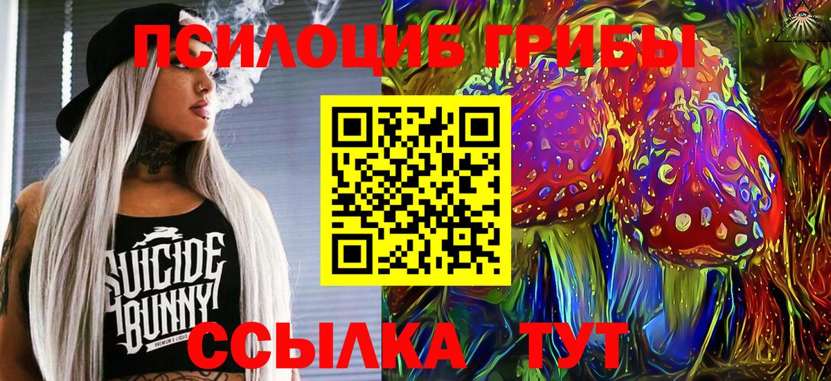 Галлюциногенные грибы Cubensis Заинск